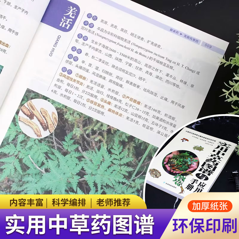 Wellness Herbal Medicine - Praktische kruidenatlas & handleiding: complete collectie