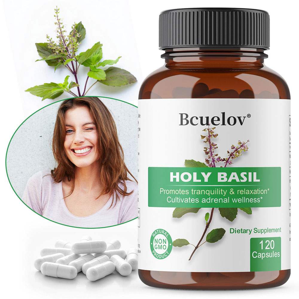 Tulsi Holy Basil - Heilige Basilicum Tulsi Extract Capsules, ondersteunen