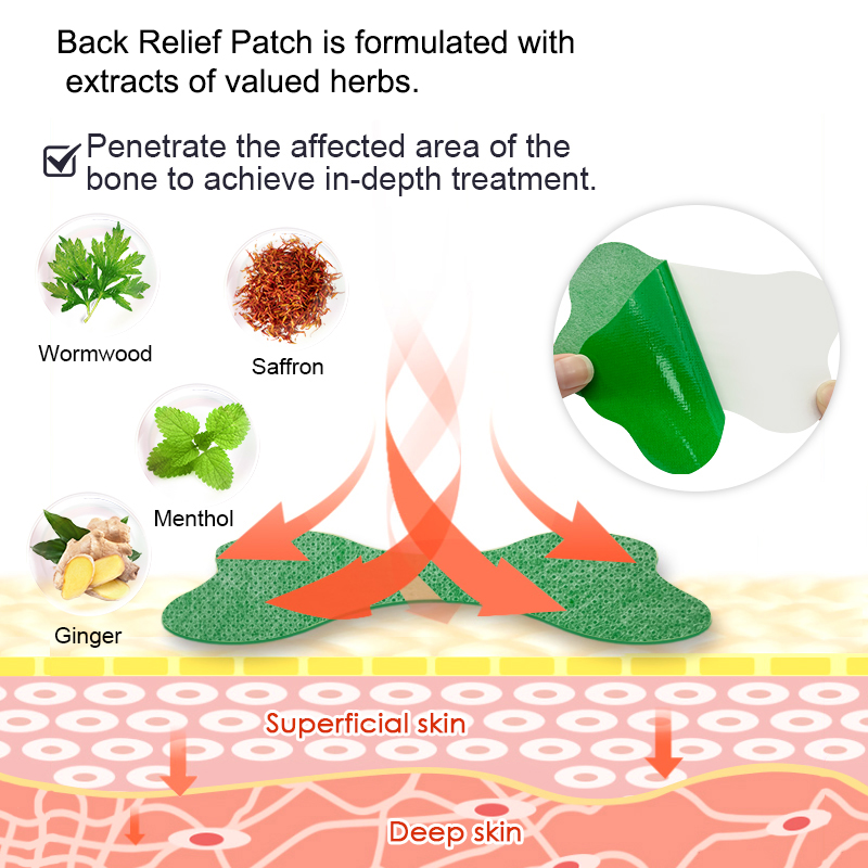 60/6 PCS Lumbale Pijn Patch Al - Herbal Zone recensie en prijs