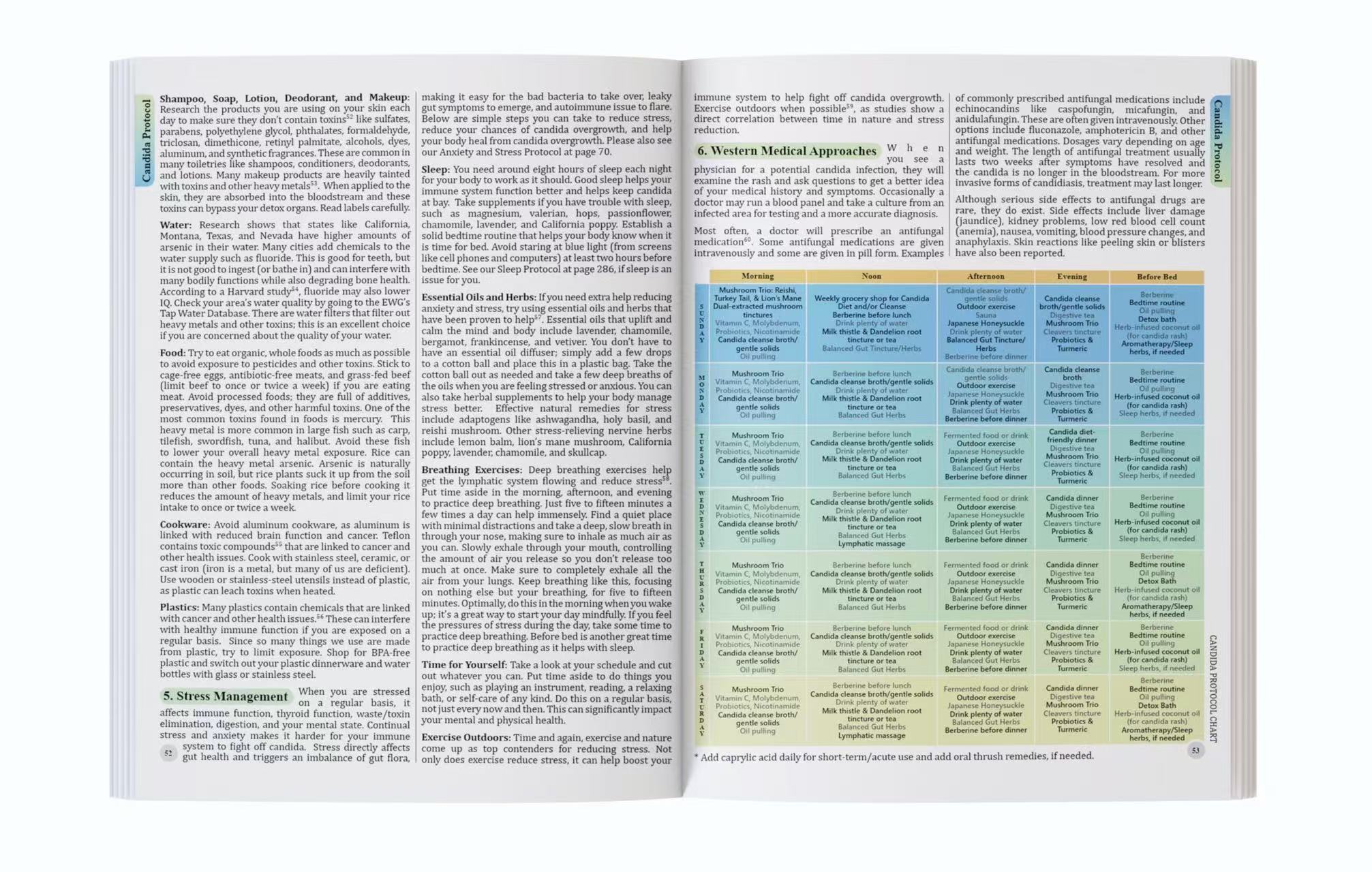 De holistische gids voor welzi - Herbal Holistic Wellness recensie en prijs